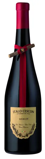MERLOT DEL VENETO PIAVE DOC 2020 | 37.5 cl