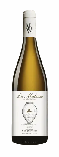 LA MALVAR BLANCO EN TINAJA 2024